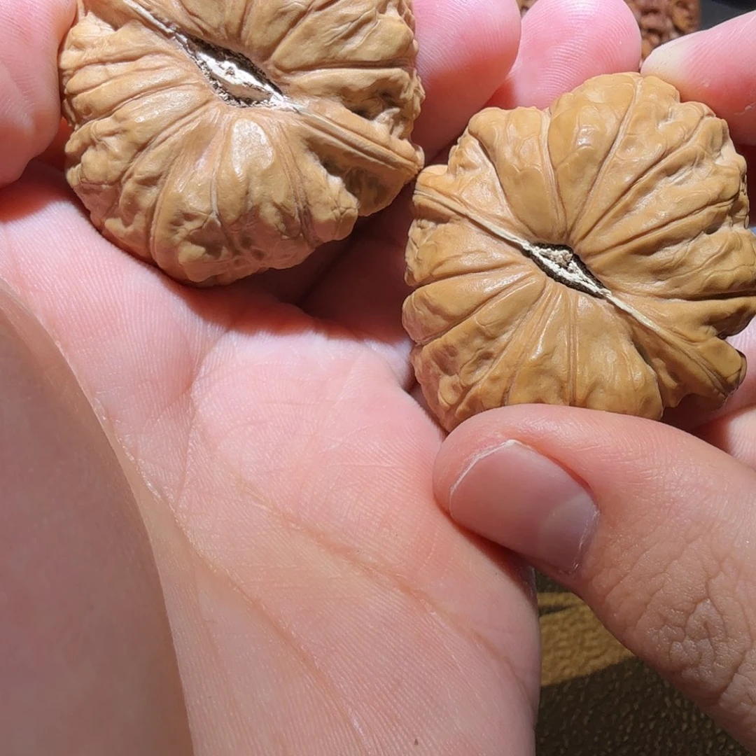 文玩核桃把件南瓜