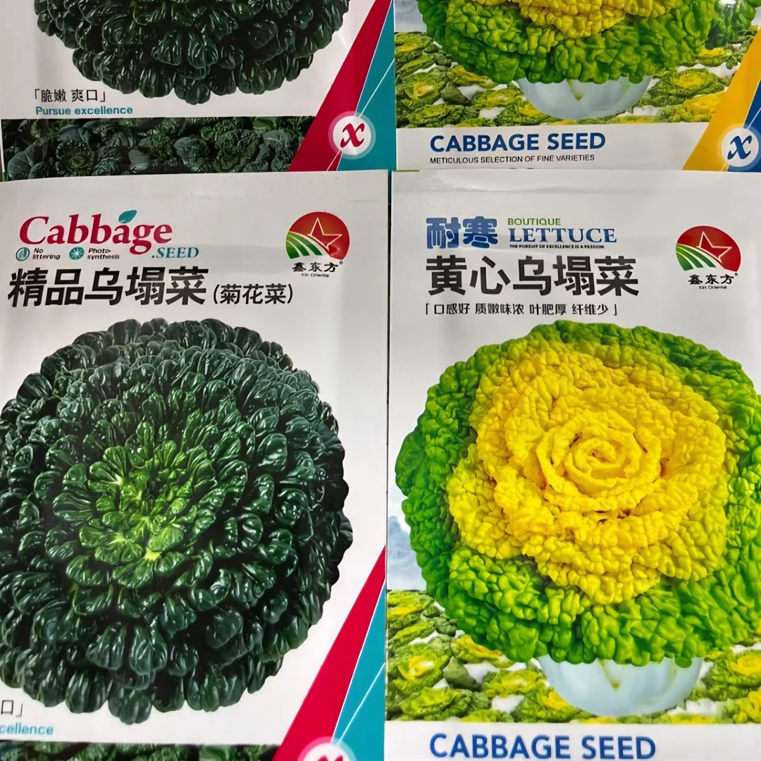 乌塌菜种子（拍一发二）