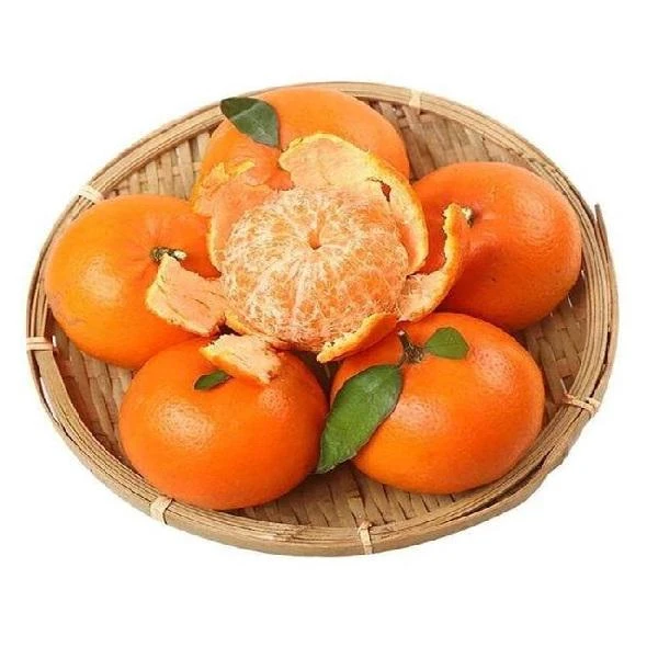 【来此购专属】白富美四川沃柑毛重4.5斤