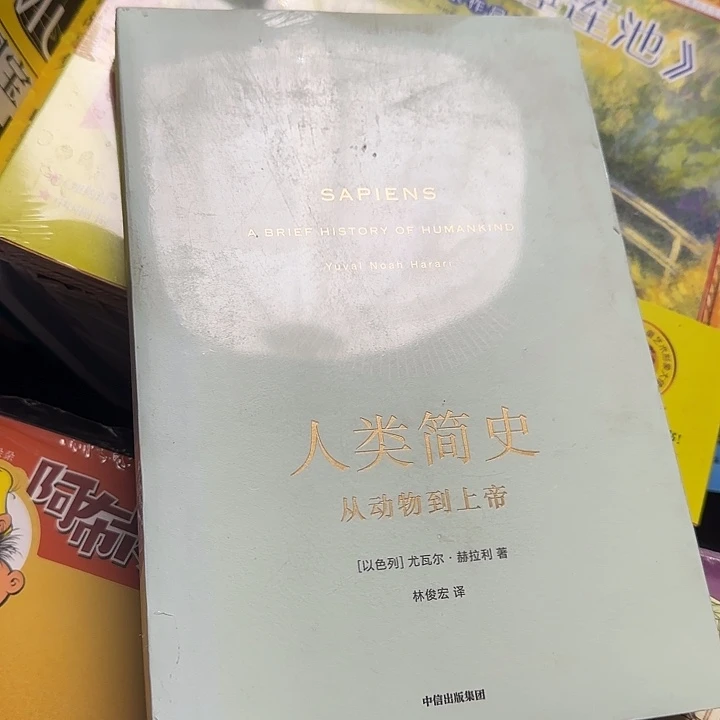 绝版人类简史超厚绝版