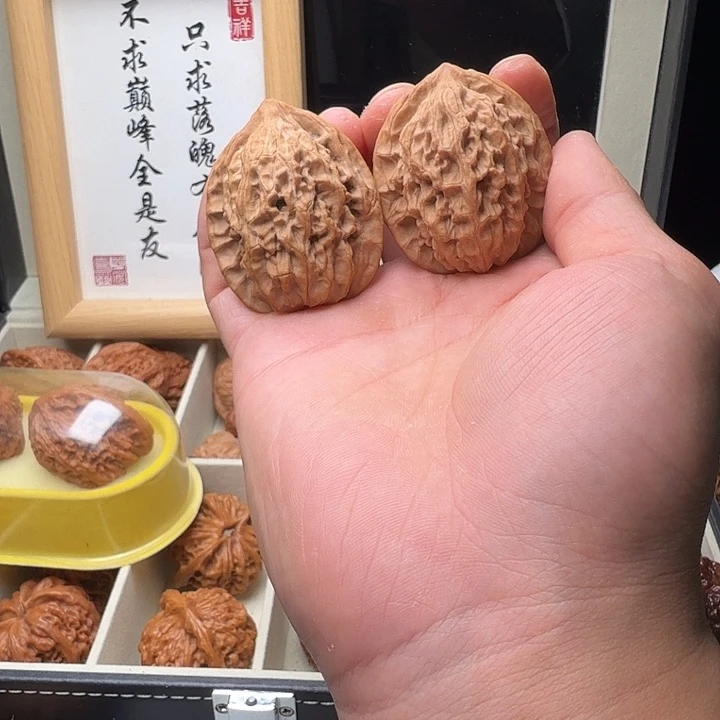 39尺正版宝鸡秦鸡