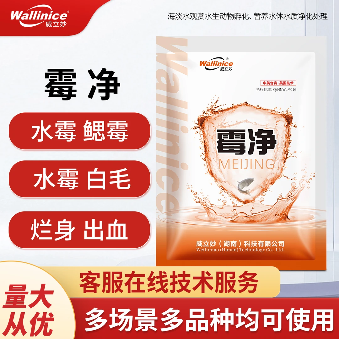 威立妙霉净水霉白毛工厂化苗种孵化观赏鱼缸水产养殖转塘运输厂家