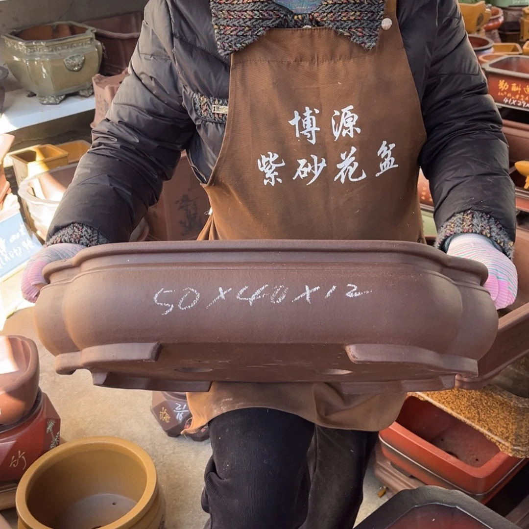 花盆紫砂盆景艺术