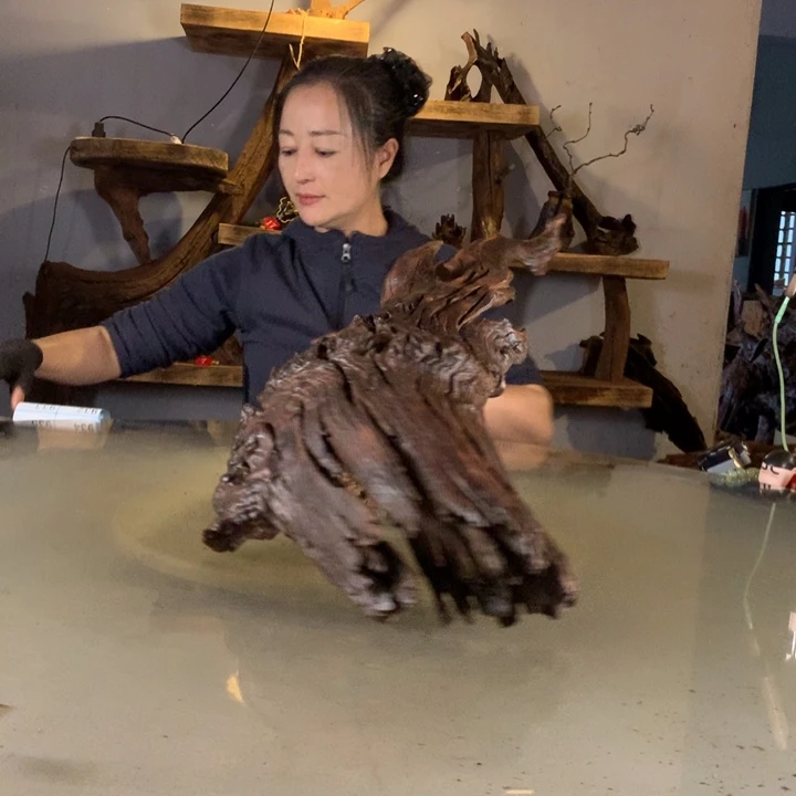 栋***天然的云南紫柚木会黄水