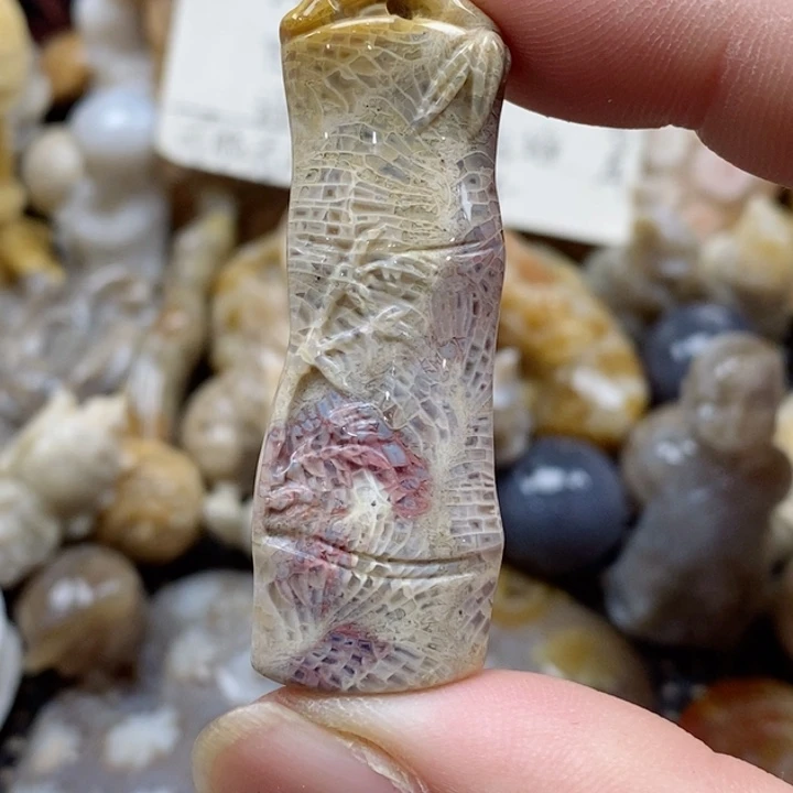 颈饰未镶嵌硅化珊瑚（珊瑚玉）