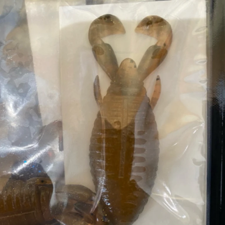 Jackall异形虫，Honey Nugget 3.0”日产路亚软饵颜色四个颜色