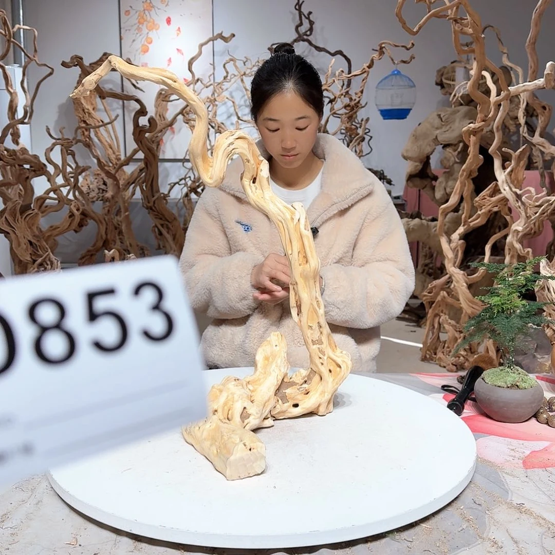 风车木（黑檀木）狄**园