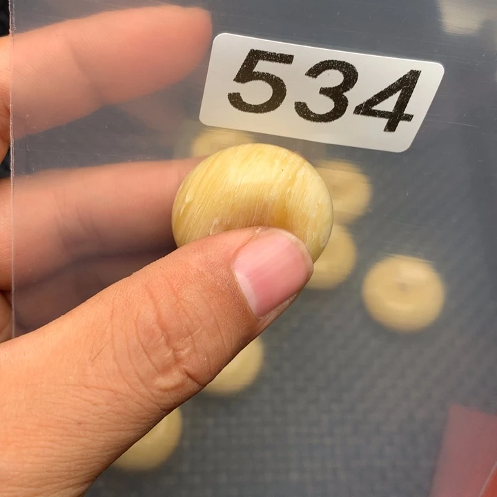 大果紫檀（缅甸花梨）