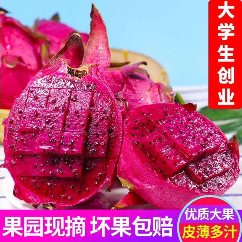 【产地直播】果园直供发货广西火龙果金都一号红心火龙果新鲜水果