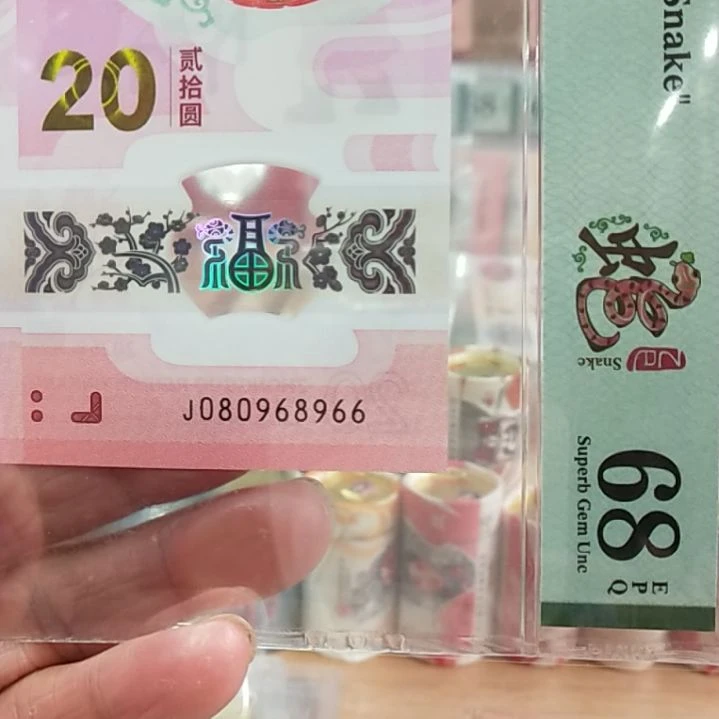 塑料蛇钞圆圆号080968966