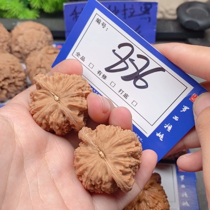 把件桃核37全品白狮子886号牌
