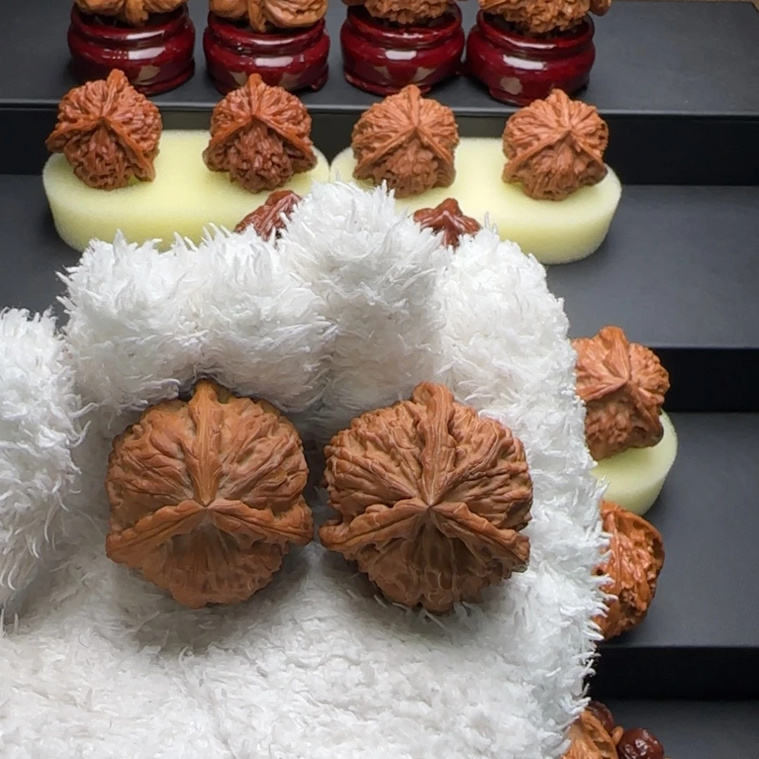 文玩核桃把件白狮子奔36