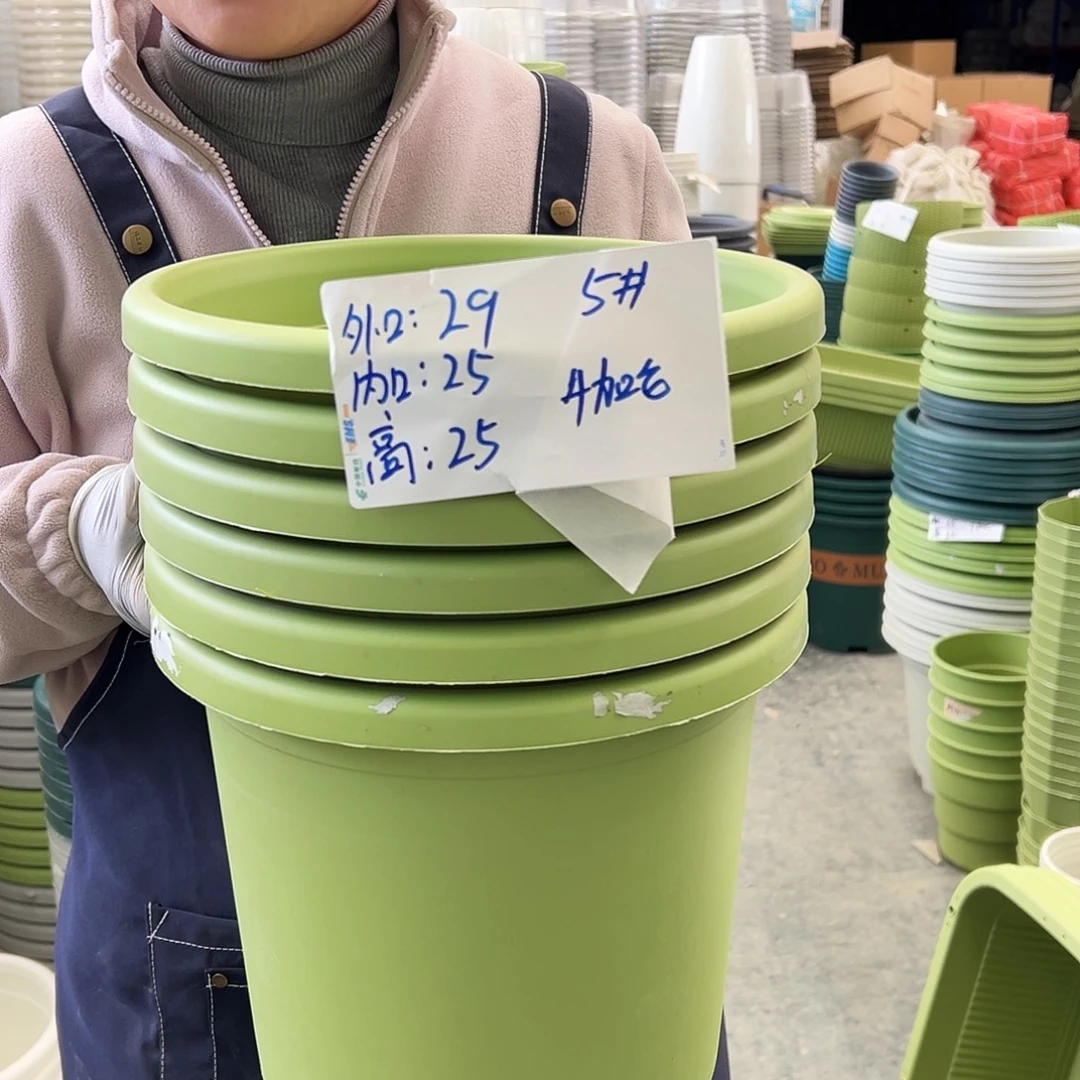 四季盆5#果绿色6个无托