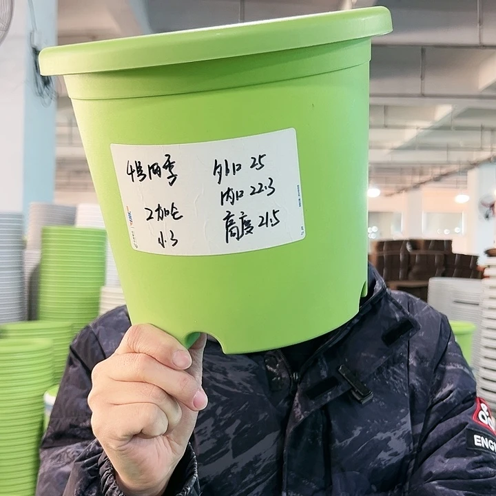 特价4号四季口25高21.5果绿无托5只