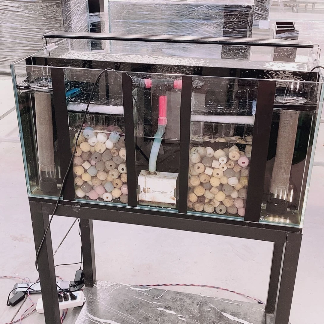 懂***。1005050背滤双进双出