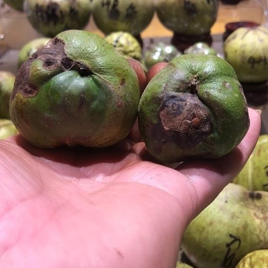 桃核吊坠核桃核桃