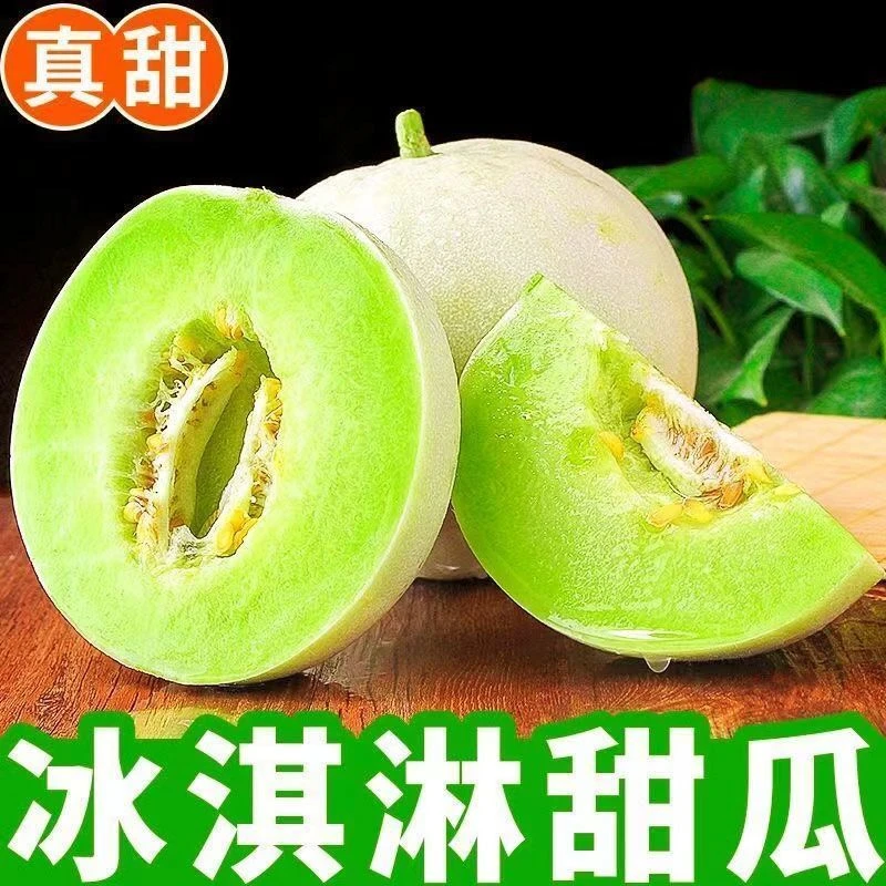 山东正宗冰激凌头茬玉菇甜瓜软糯香甜新鲜4.5-8.3斤玉茹整箱包邮