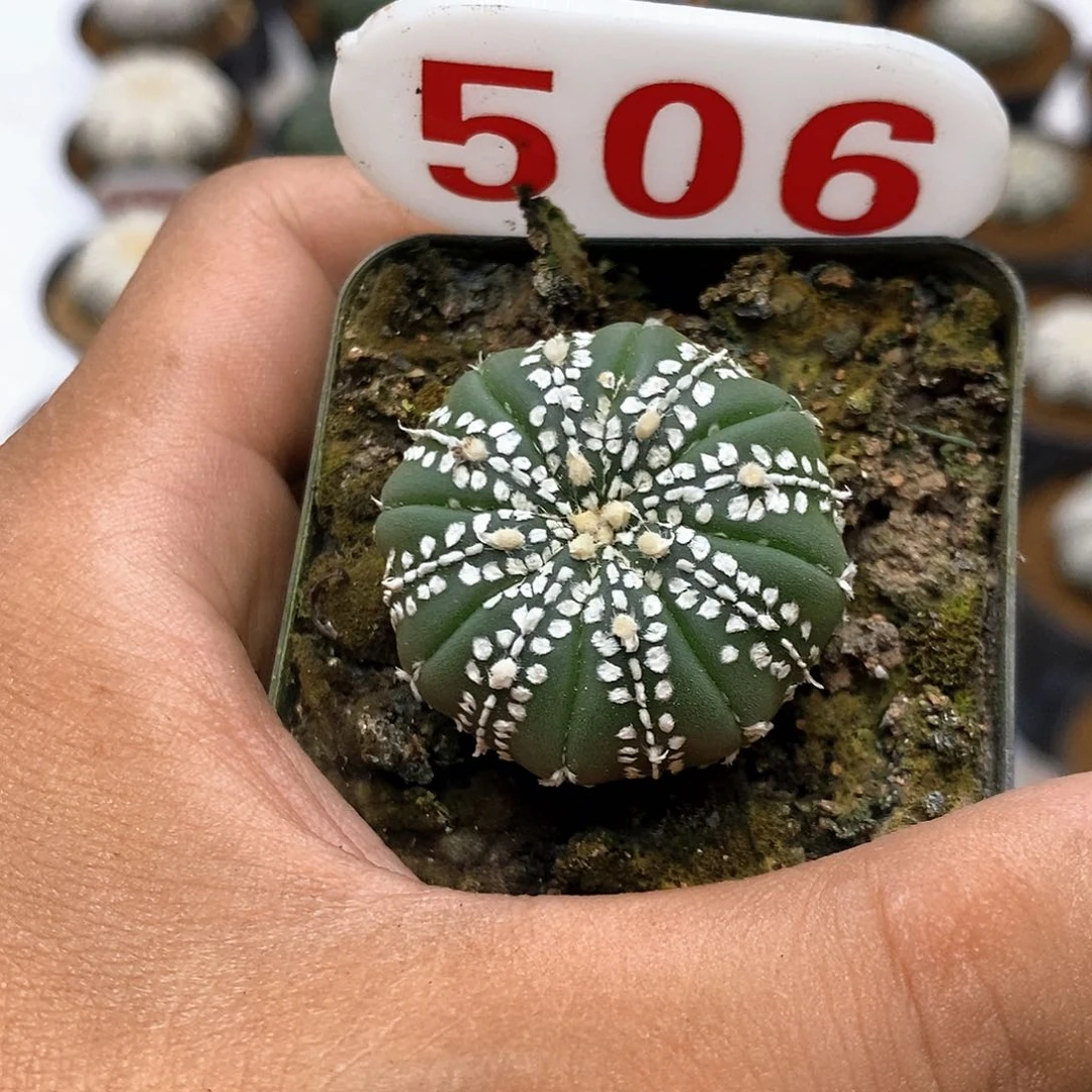 506福利特特价福利了