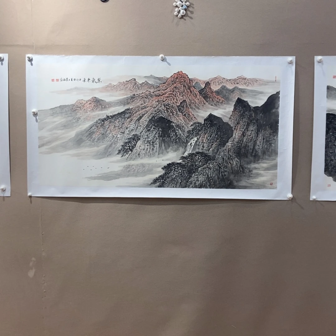 【闪购商品】国画圣****奇墨鱼精品墨鱼精品