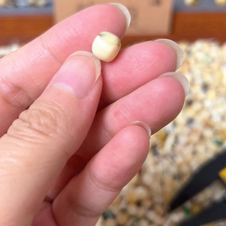 蜜蜡未镶嵌裸石8mm一个