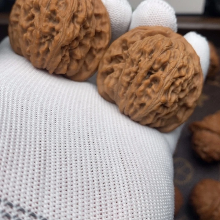 全品四座楼43尺寸