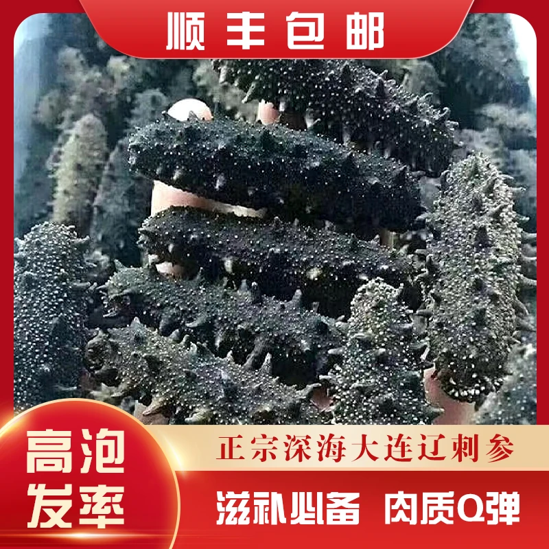 【国标】淡干辽刺参 大连野生海参30头