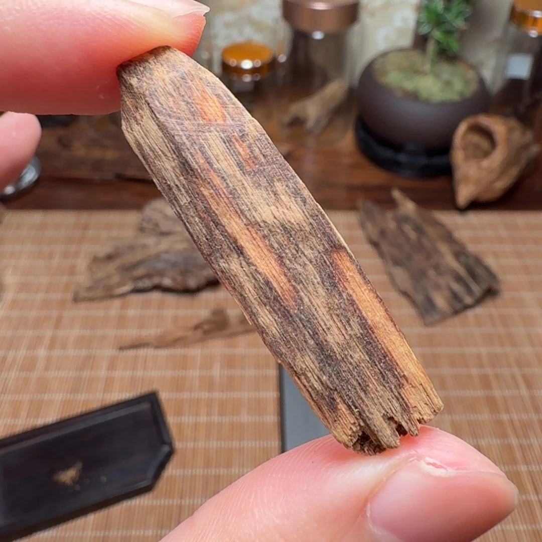 沉香帝汶树心瓜子
