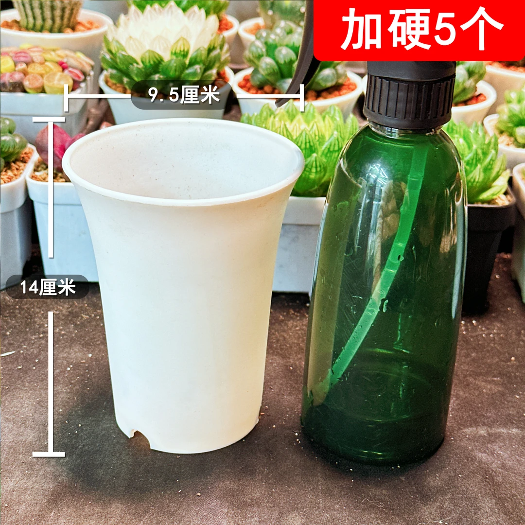 【加高加硬万象盆5个】 口径9.5CM 高度12CM 白色 多肉植物用