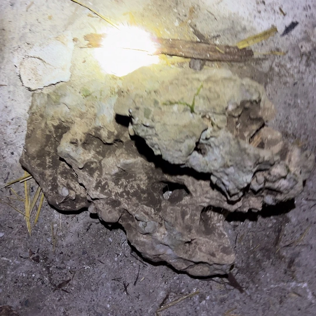 哈哈哈哈哈哈哈哈哈哈哈哈哈哈