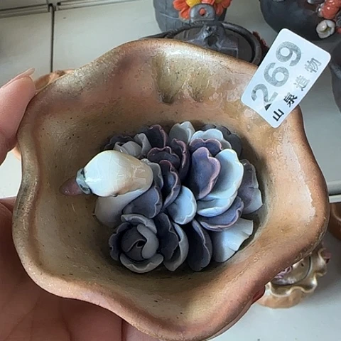 瓷片 烧柴烧柴烧柴烧269