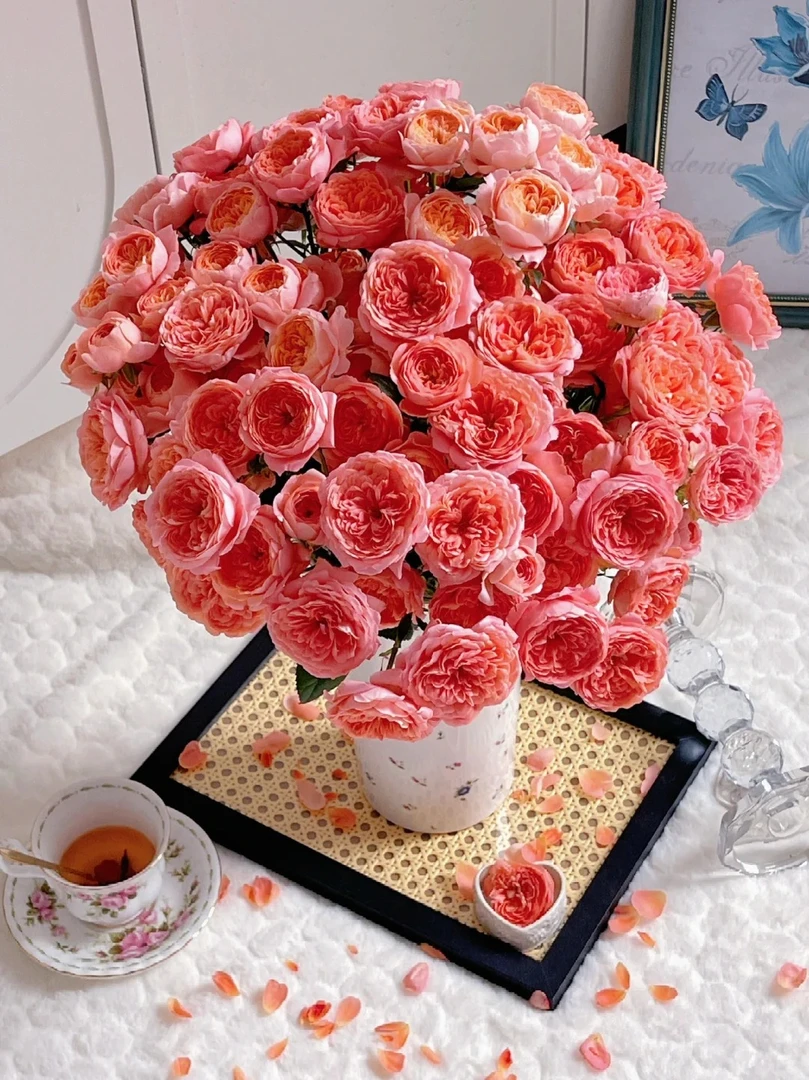 【蜜桃汁阳台】多头玫瑰云南鲜花基地直发一单也包邮鲜切花百搭色