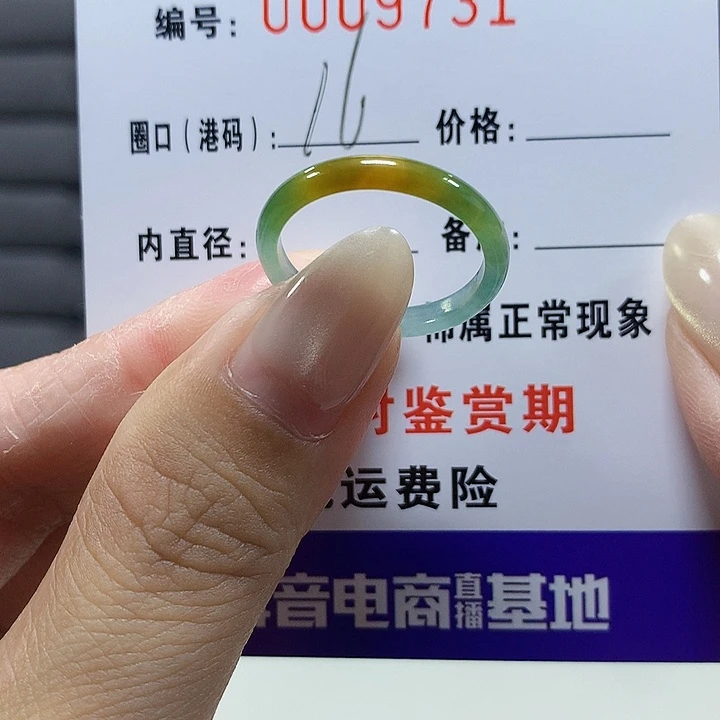 翡翠未镶嵌戒圈9731