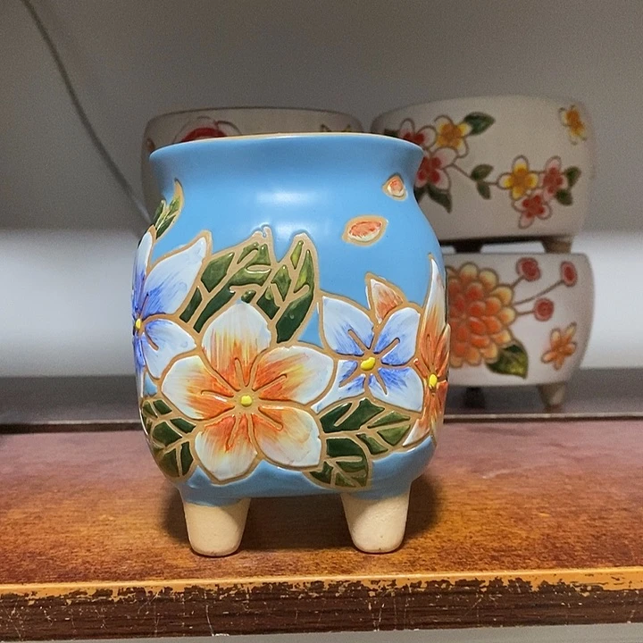 韩式多肉植物花盆