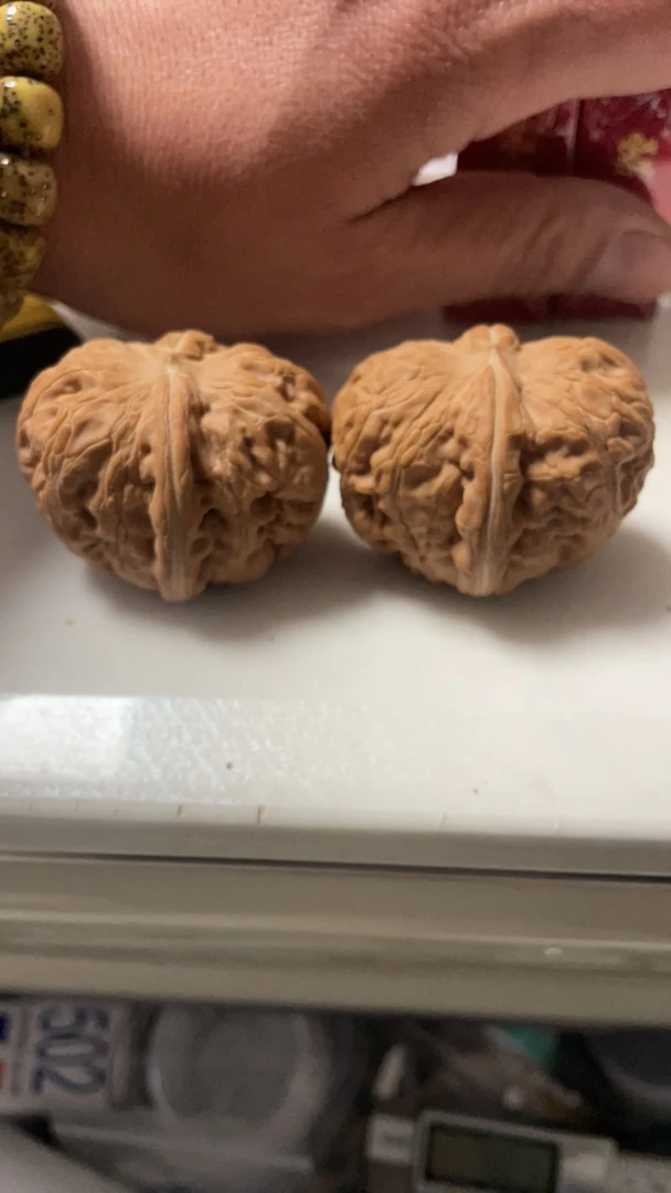 文玩核桃 品种随机