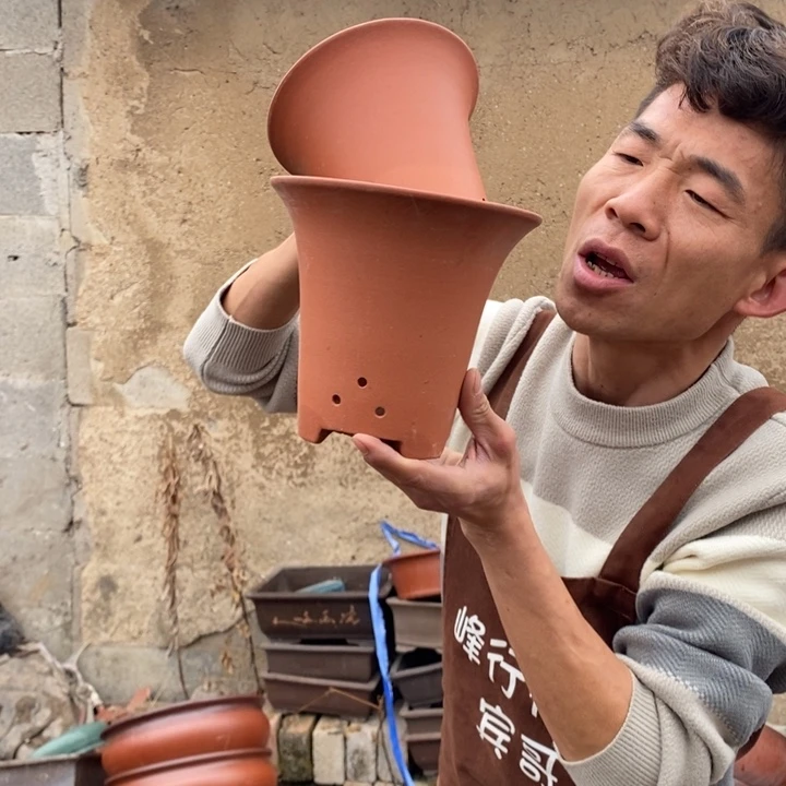 红陶这个世界上最