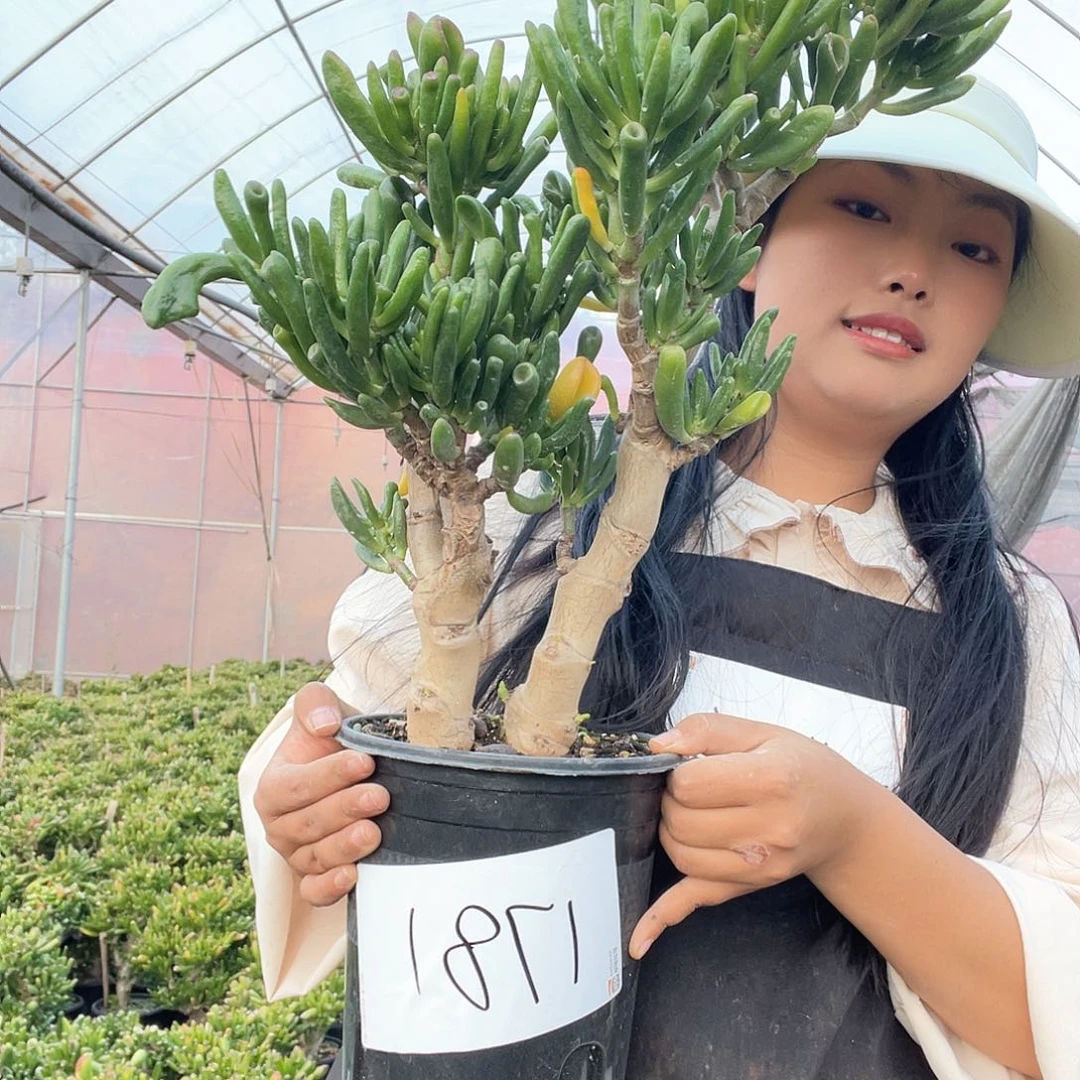 一物一拍一单包邮