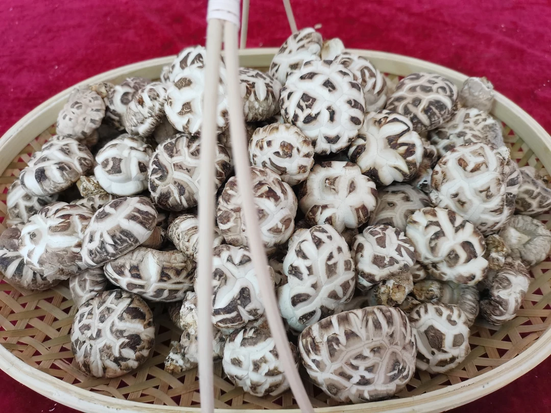 广水市鲜花香菇干花香菇500克（可试吃不满意包退）