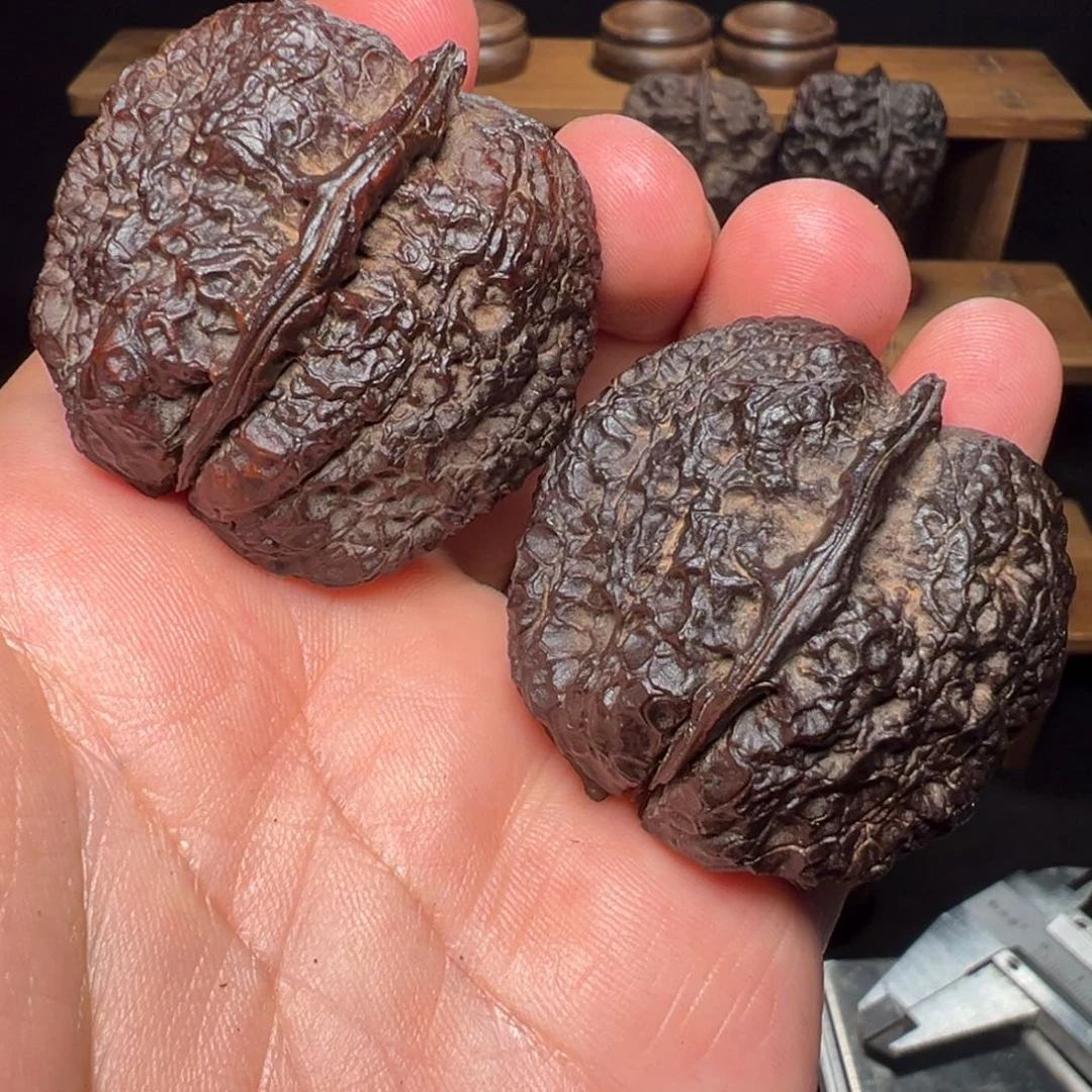 吊坠文玩核桃蝴蝶蟾41mm