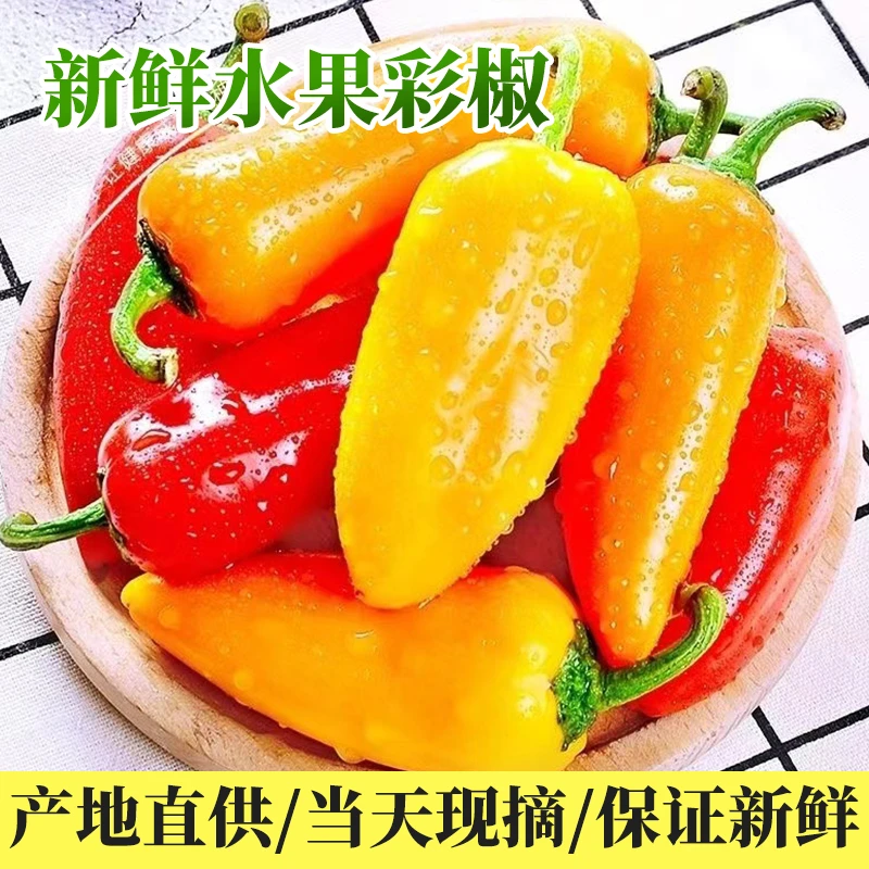黄色水果彩椒优质甜椒清脆爽口新鲜采摘色泽鲜艳原产地直发