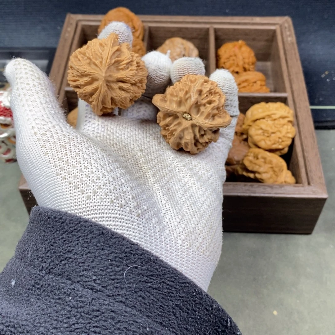 核桃核桃黑豆粉黑枸杞茶