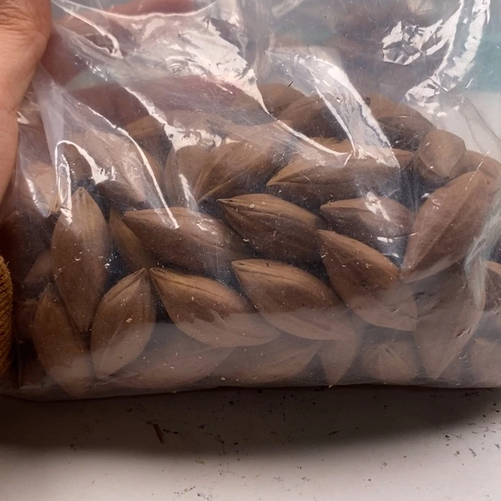 橄榄核手串/手链橄榄核雕