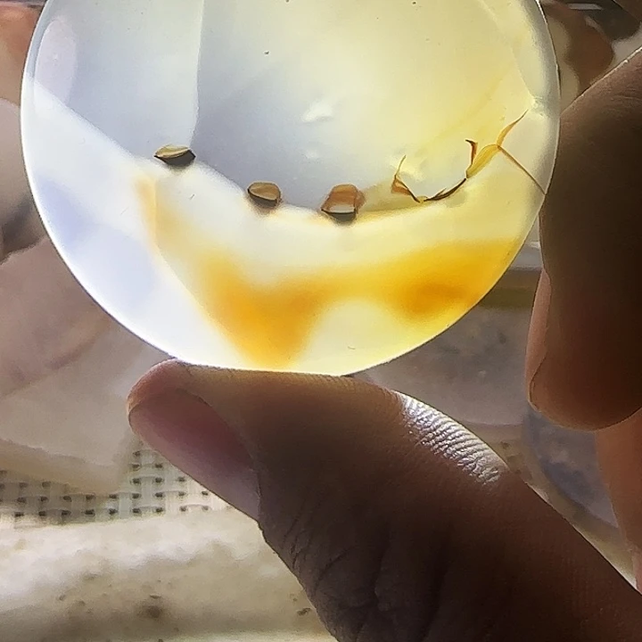 玛瑙/玉髓未镶嵌珠宝奇石