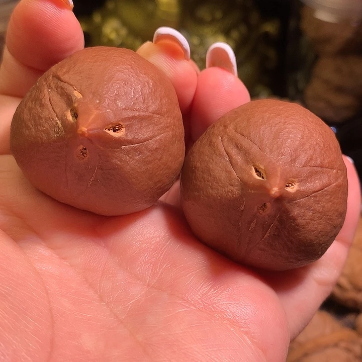 文玩核桃吊坠鹰嘴大橄榄