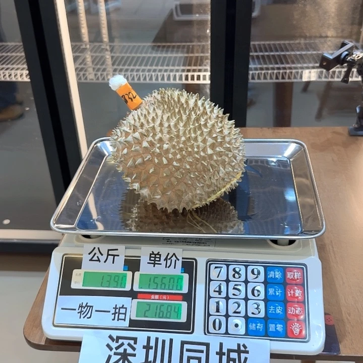 猫山王夕阳红（黑刺平替）