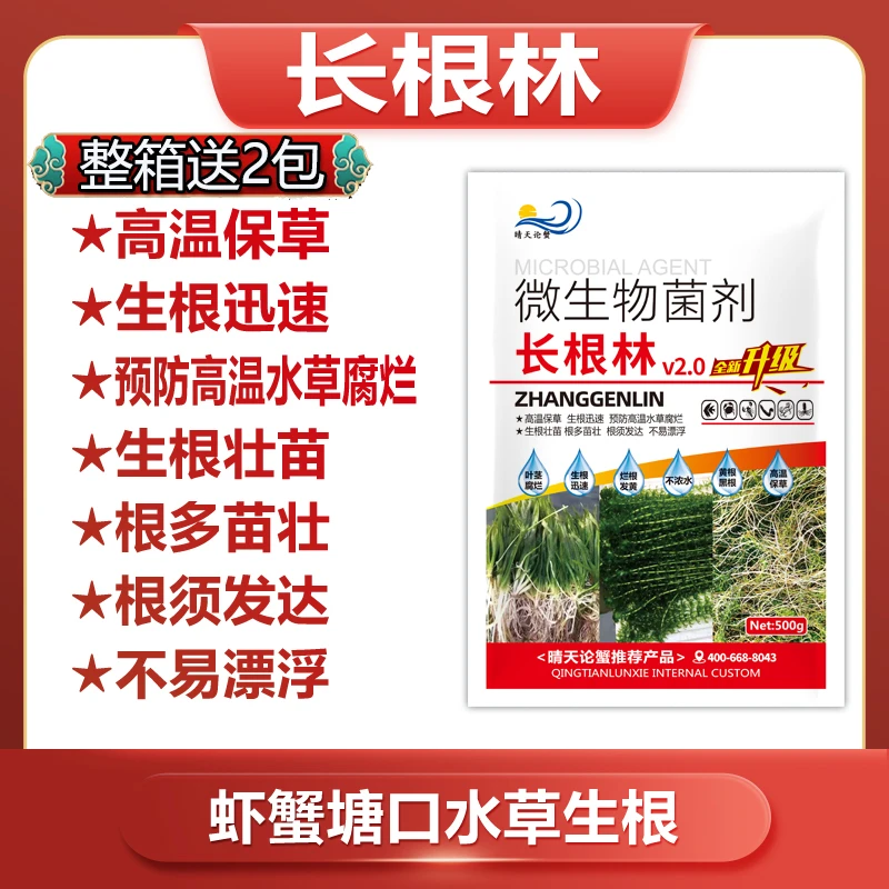晴天论蟹长根林，促进水草生根发芽高温保草生根粉水草专用