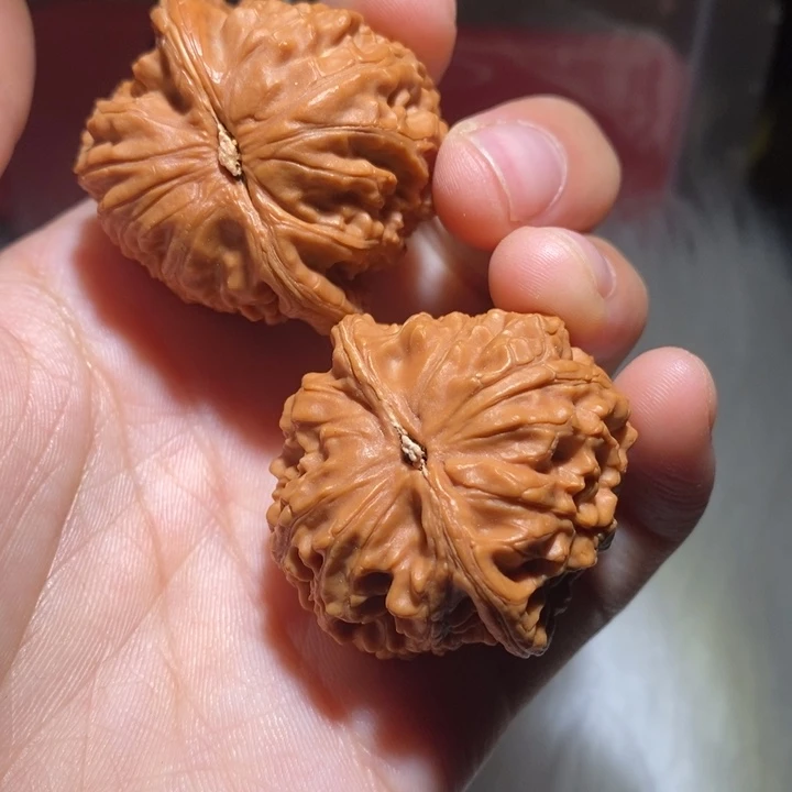 发***奥吊坠文玩核桃精品课程和专业培训教材