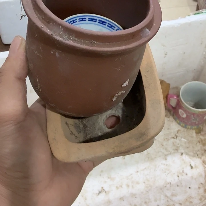 一***糖扇子吃g哥哥哥哥哥哥恍恍惚惚好