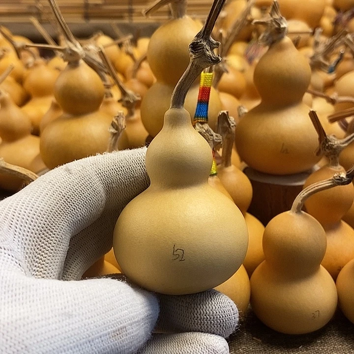 文玩葫芦 完美主义者 慎拍52