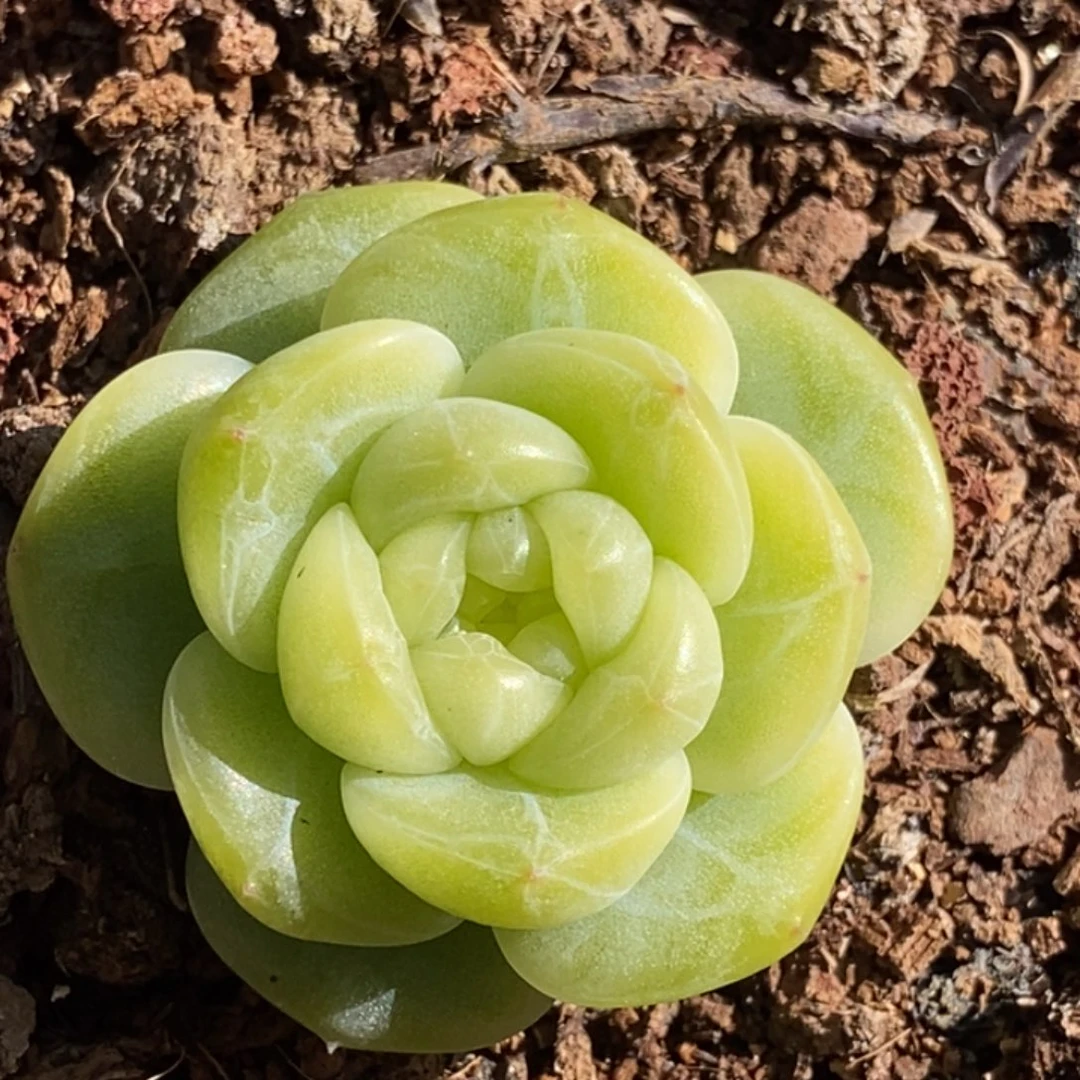 ****慈天官赐福百无禁忌