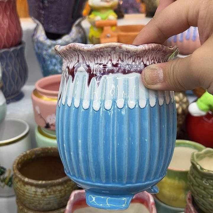 多肉植物陶瓷花盆